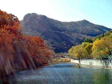 管家婆黑白马报图库，汽油价